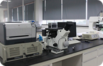 R & D platform